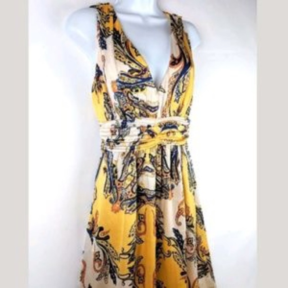 NWT maxi dress by Cache size 6.